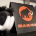 Chinese investor to buy Swiss outdoor brand Mammut