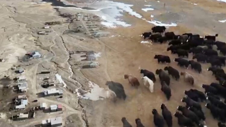 On the way there are 32 serpentines, dung and tea in a samovar – how life is in a Kyrgyz village near the border with China. Video