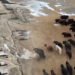 On the way there are 32 serpentines, dung and tea in a samovar – how life is in a Kyrgyz village near the border with China. Video