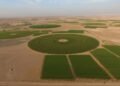 Dhofar’s Najd farmers to benefit from temporary labour transfer facility