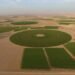 Dhofar’s Najd farmers to benefit from temporary labour transfer facility