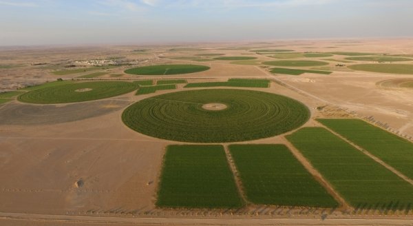 Dhofar’s Najd farmers to benefit from temporary labour transfer facility