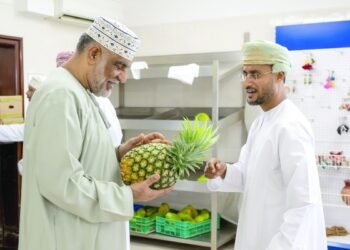 Oman grows its first pineapples