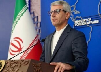 Progress made in talks with Oman on Hormuz: Iran
