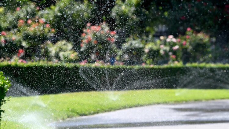 City of Vienna reduces water consumption – DiePresse.com