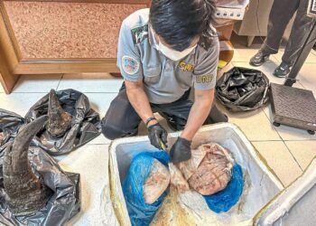 Thailand enforces “Zero Trust” airport security to eradicate smuggling rings