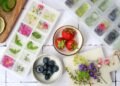 Ice that’s nice: Turn ice cubes into drink ornaments with berries and herbs
