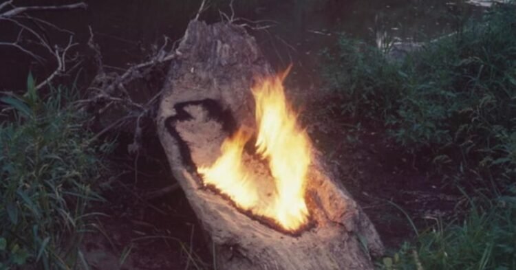 ‘Ana Mendieta’ exhibition in London