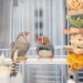 A bird’s brain holds clues to dancing and the sounds of music