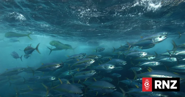 Tokelau and the Parties to the Nauru Agreement react to New Zealand fisheries action