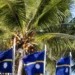 Nauru renames itself Republic of Naoero in identity push