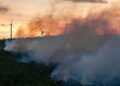 Al-Riyadh newspaper | A massive forest fire in southern France forces dozens of residents to evacuate their homes