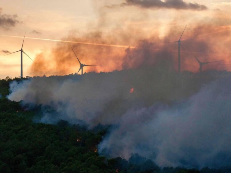 Al-Riyadh newspaper | A massive forest fire in southern France forces dozens of residents to evacuate their homes