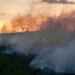 Al-Riyadh newspaper | A massive forest fire in southern France forces dozens of residents to evacuate their homes