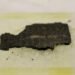 The complete text of the charred scroll from Herculaneum read for the first time
