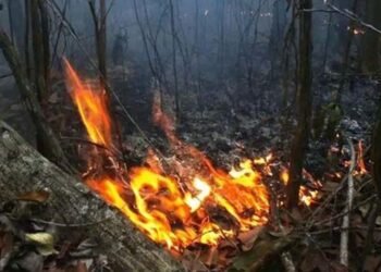 Accidents: Fire devastates 700 hectares in the Alejandro de Humboldt National Park