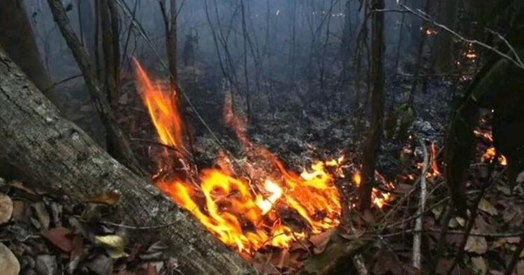 Accidents: Fire devastates 700 hectares in the Alejandro de Humboldt National Park