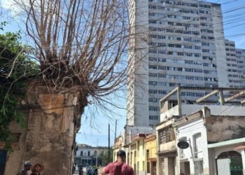 Chronicles of Havana: The crazy people of the blackout