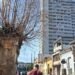 Chronicles of Havana: The crazy people of the blackout