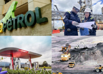 The companies that sell the most, earn the most, lose the most, the largest and the most profitable in Colombia