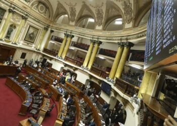 Commission presidencies in the bicameral Congress: Which working groups do the new benches target?