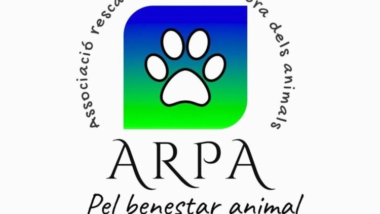 The Animal Rescue and Protection Association of Andorra promotes a memorial to remember the pets