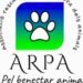The Animal Rescue and Protection Association of Andorra promotes a memorial to remember the pets