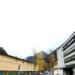 The access of students at the Andorran school in Santa Coloma to sexual content reveals a security hole in the center’s iPads