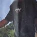Bladiniere residents fear for safety after months of stone attacks, say seven police complaints made