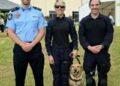 AFP deploys drug detection dogs to Vanuatu in historic first operation | News