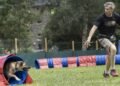 Four legs, jumps and claps
