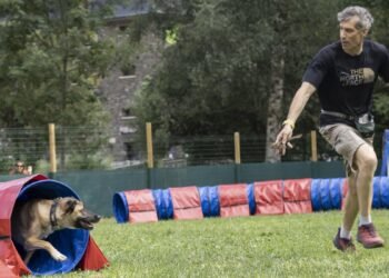 Four legs, jumps and claps