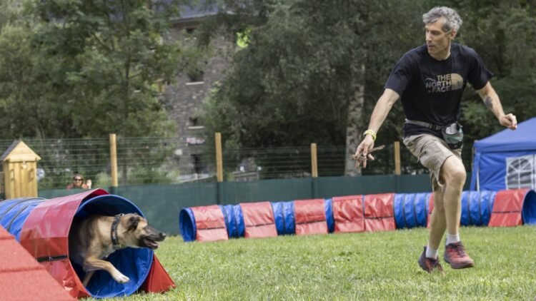 Four legs, jumps and claps