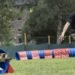 Four legs, jumps and claps