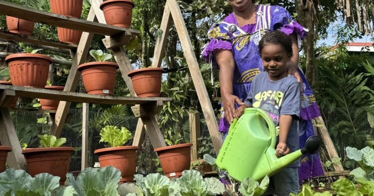 Backyard garden feeds family of 12