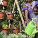 Backyard garden feeds family of 12