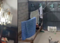 Video: this is how the strong earthquake of magnitude 7.4 in Mexico felt during the morning of Friday, July 17; The earthquake occurred in the state of Chiapas