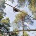 Unió Laurediana warns that closing Naturland can mortgage Sant Julià for years
