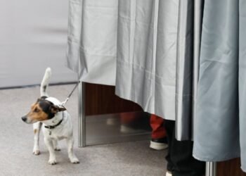 The Constitutional Court of Andorra annuls an eviction for having a dog in a rented apartment
