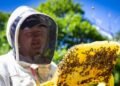 ‘Be a beekeeper for a day with a guided tour of Santa Coloma’