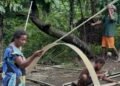“Home Always Calls You Back”: Ambae Family Returns to Rebuild After Years of Volcanic Exile | News