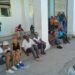Demographics: Almost a quarter of a million Cubans emigrated in 2025
