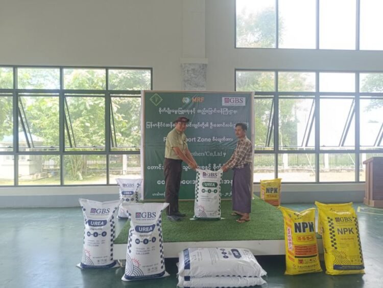 Four Regions Tapped for Massive Rice Export Push