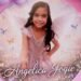 THA faces negligence lawsuitFamily of Pigeon Point jet ski tragedy victim seeks damages from the State, operator following April 8 incident