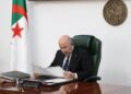 Cabinet: Payment of the travel grant via a “bank card” – Al-Shorouk Online