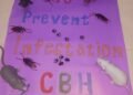 CBH Brings Public Health Education to Villa Poly Clinic