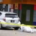 Following last weekend’s triple and double homicides:TTPS boasts of reducing murdersDCP Benjamin reports there were seven fewer killings this year than last year; also says officers continue to ‘create history’ by slashing crime