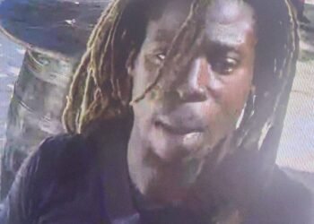 Jet ski operator charged in Pigeon Point tragedy denied bail