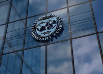 IMF: The government confirms its commitment to linking the dinar to the dollar and developing financial markets