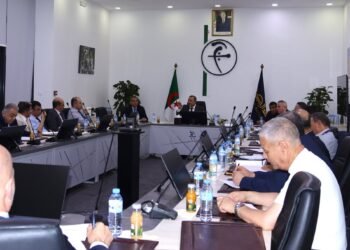 The Governor of the Bank of Algeria directs instructions to facilitate the issuance of international payment cards